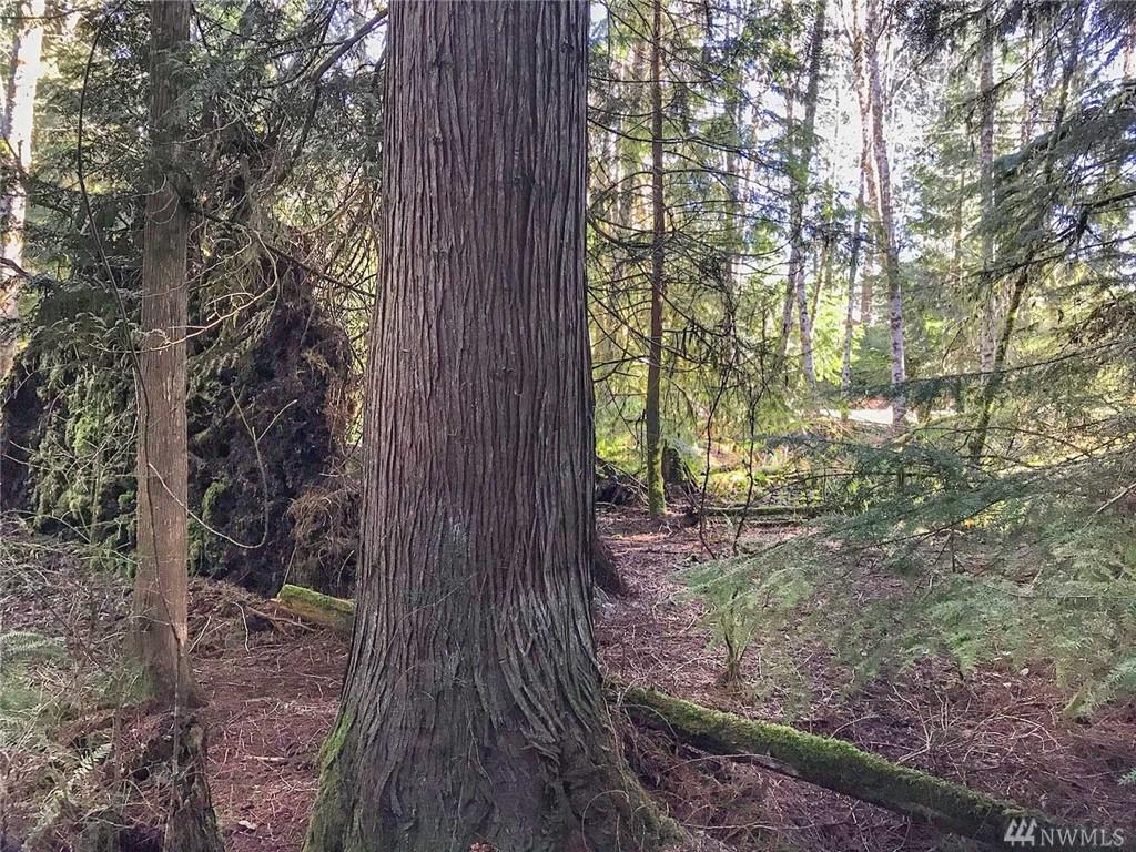 211 Willapa Rd - Photo 1