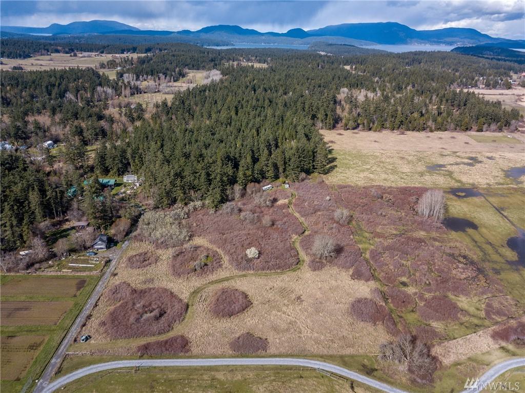 316 Morning Star Lane - Photo 1