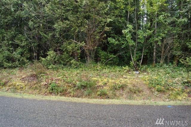 501 Wood Lane - Photo 1