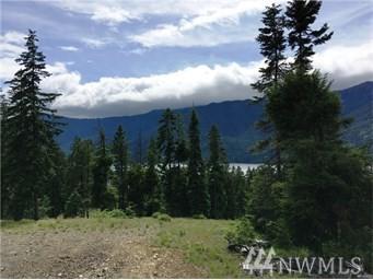 0-XXX Morgan Creek Rd - Photo 1