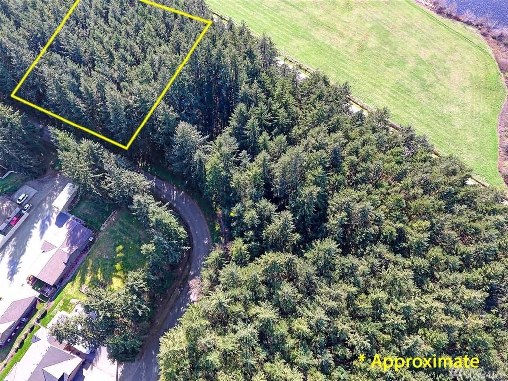 0-Lot 15 Woodland Dr - Photo 1