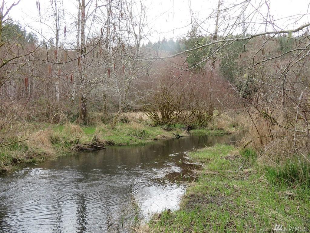 0-XXX Mox Chehalis Rd - Photo 1