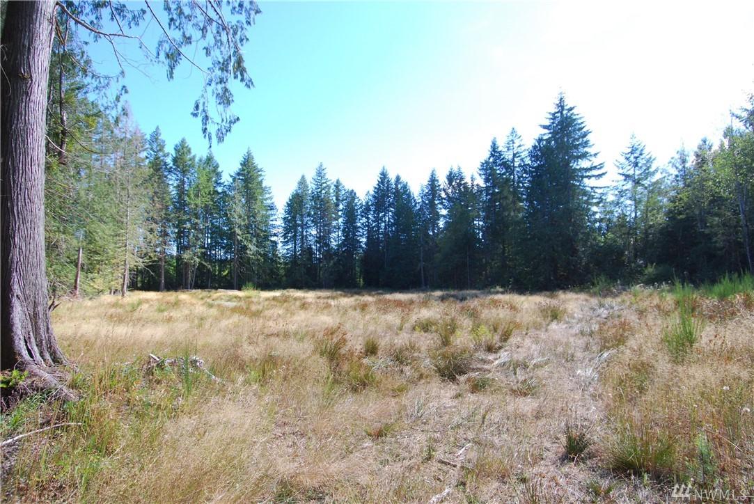 0-xxx Arcadia Rd - Photo 1