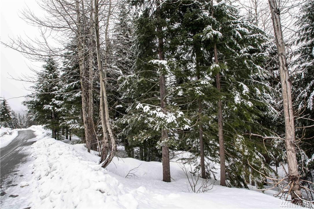 10-XX Snoqualmie Dr - Photo 1