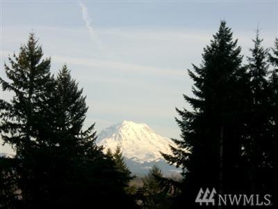 0-XXXX 136th Ave - Photo 1