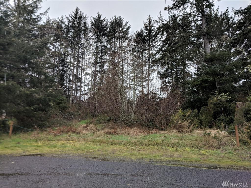 24715 Birch Place - Photo 1