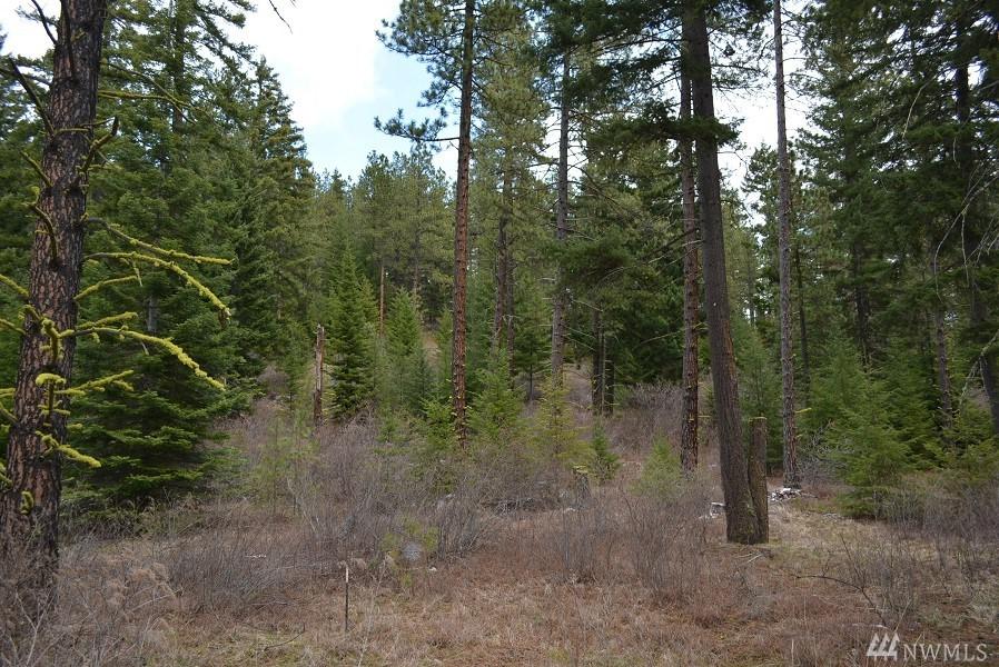 2280 Coal Mine Wy - Photo 1