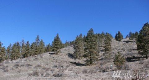 4745 Brisky Canyon Rd - Photo 1