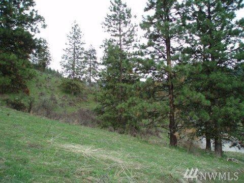 4681 Brisky Canyon Rd - Photo 1