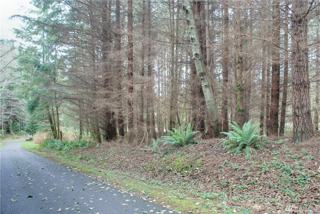0-Lot 2 Parkview Lane - Photo 1