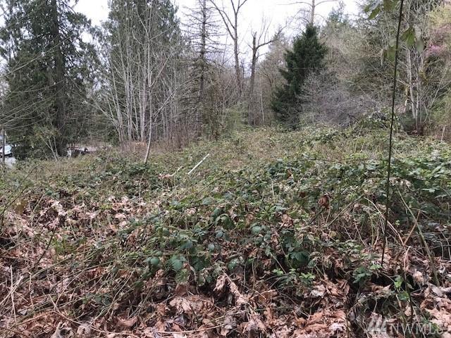 9200 Carnation-Duvall Road - Photo 1