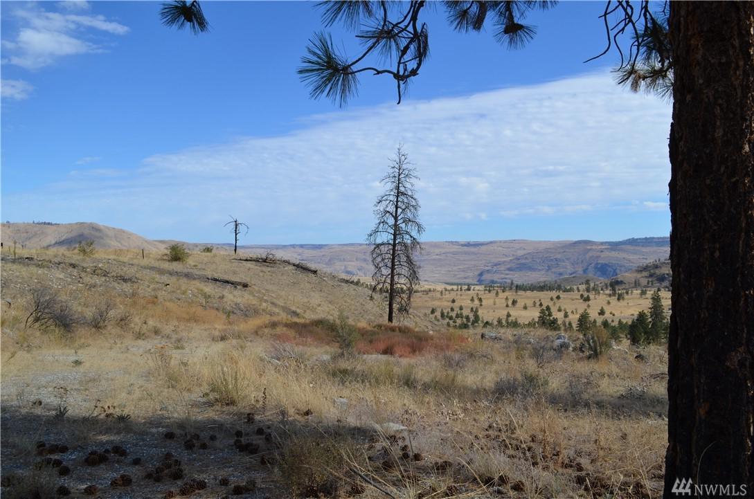 1784 Washington Creek Rd - Photo 1