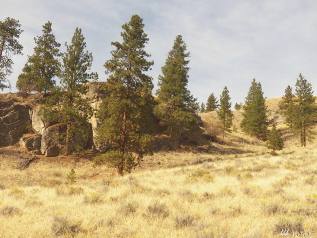 0-x Hwy 20 - Photo 1