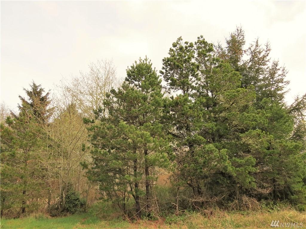 646 Duck Lake Dr - Photo 1