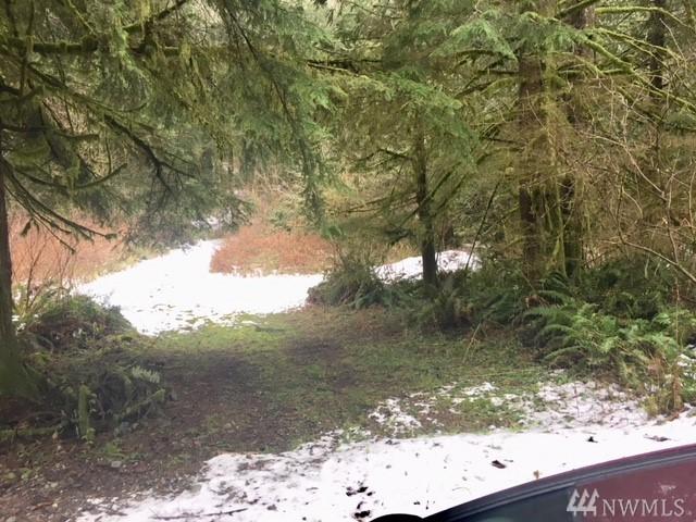 0 Deer Trails Lane - Photo 1