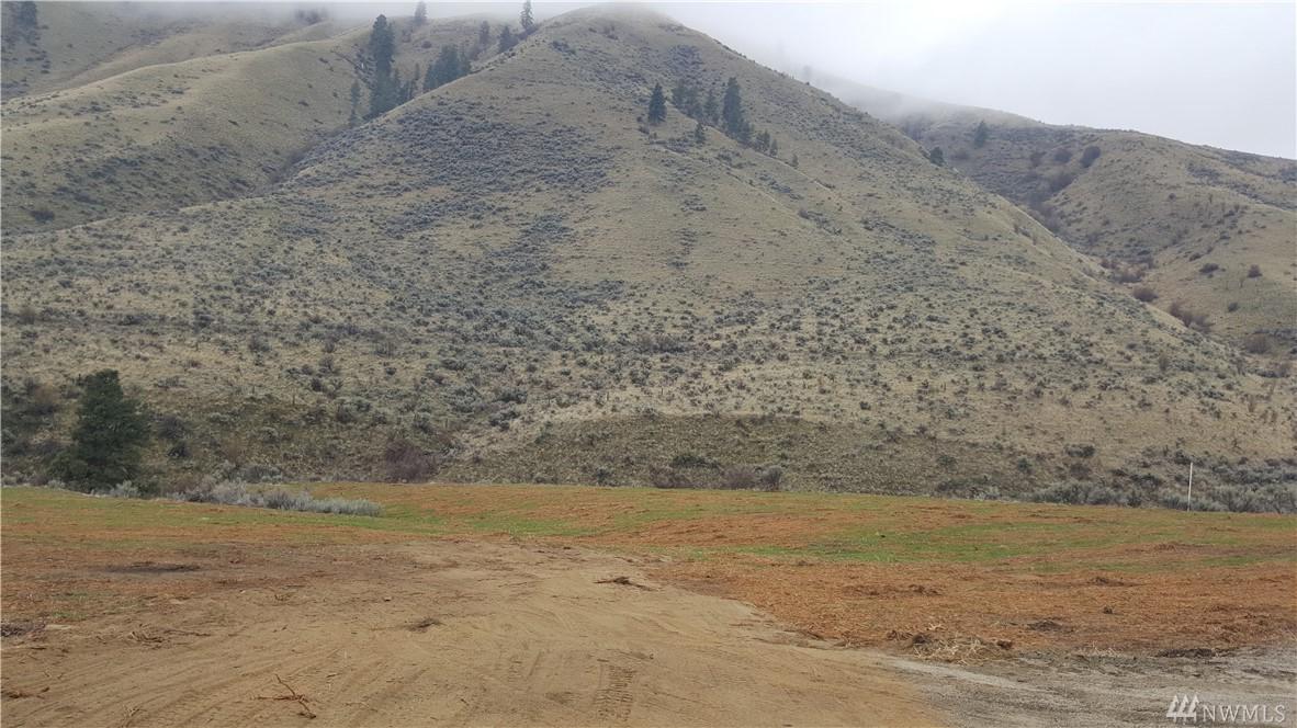 1541 Pitcher Canyon - Photo 1