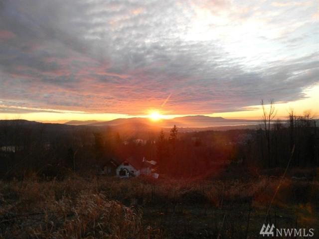 3672 Vineyard Dr - Photo 1