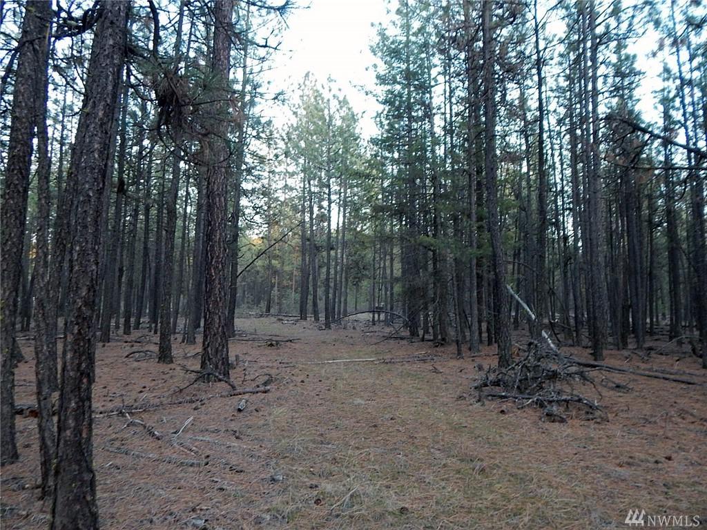 25717 Long Lake Rd - Photo 1
