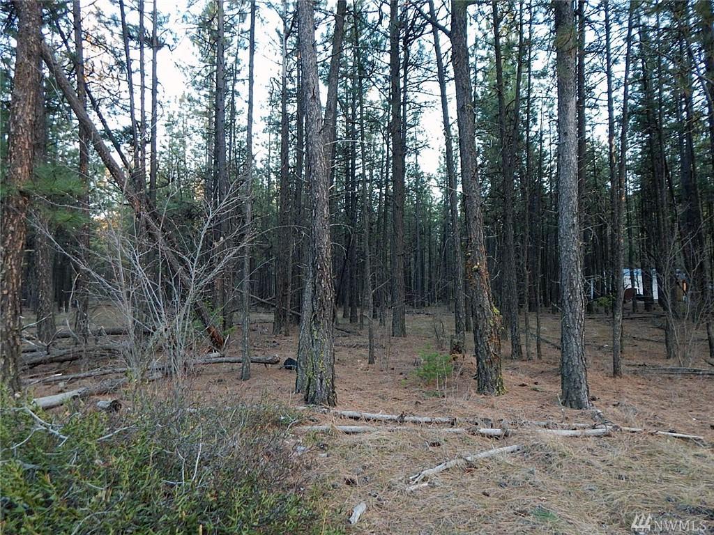 25823 Long Lake Rd - Photo 1