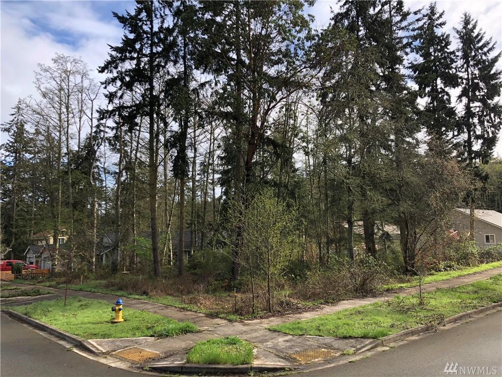 99-Lot 16 Eddy St - Photo 1