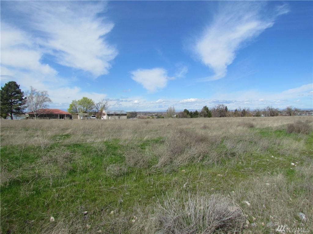 9538 Morgan Rd - Photo 1