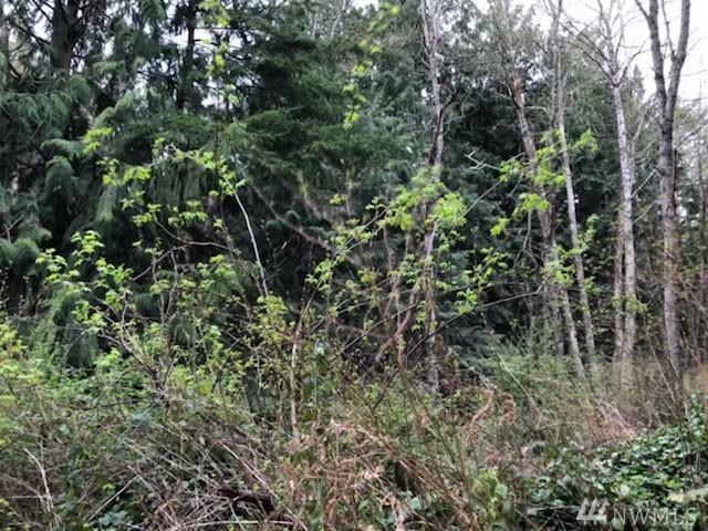 0 2nd St - Photo 1