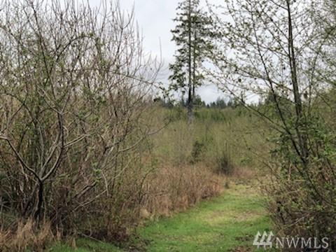 20 John Wayne Lane - Photo 1
