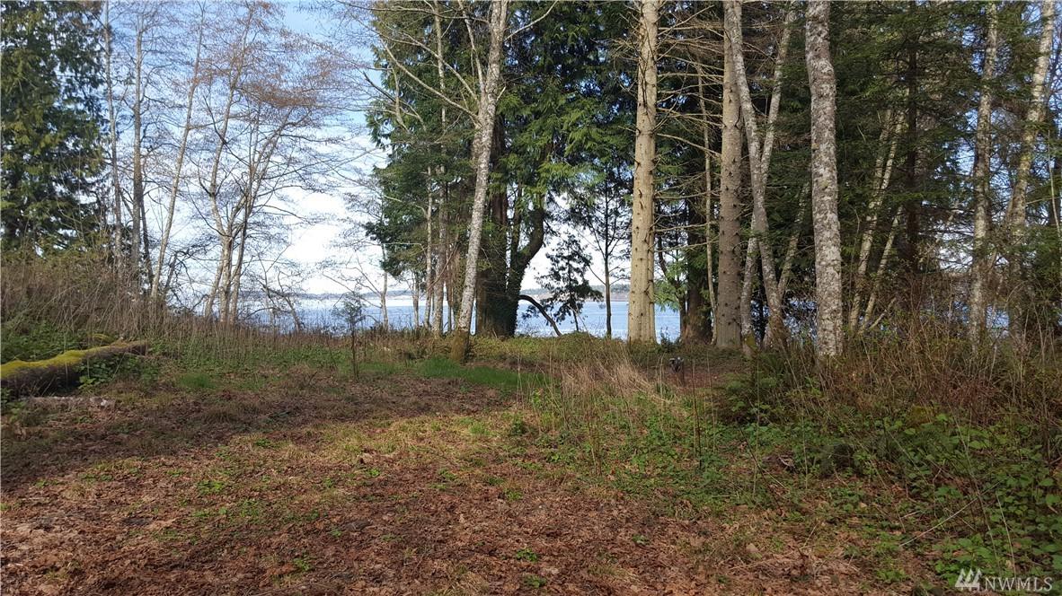 32225 Crabshell Lane - Photo 1
