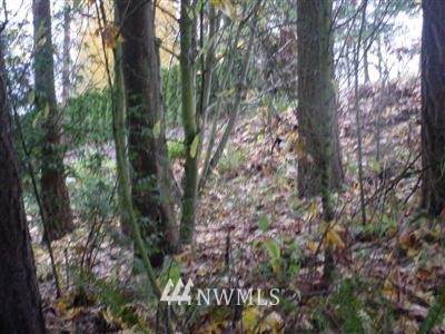 262 XX Military Road - Photo 1