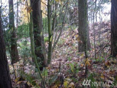 262-XX Military Rd - Photo 1
