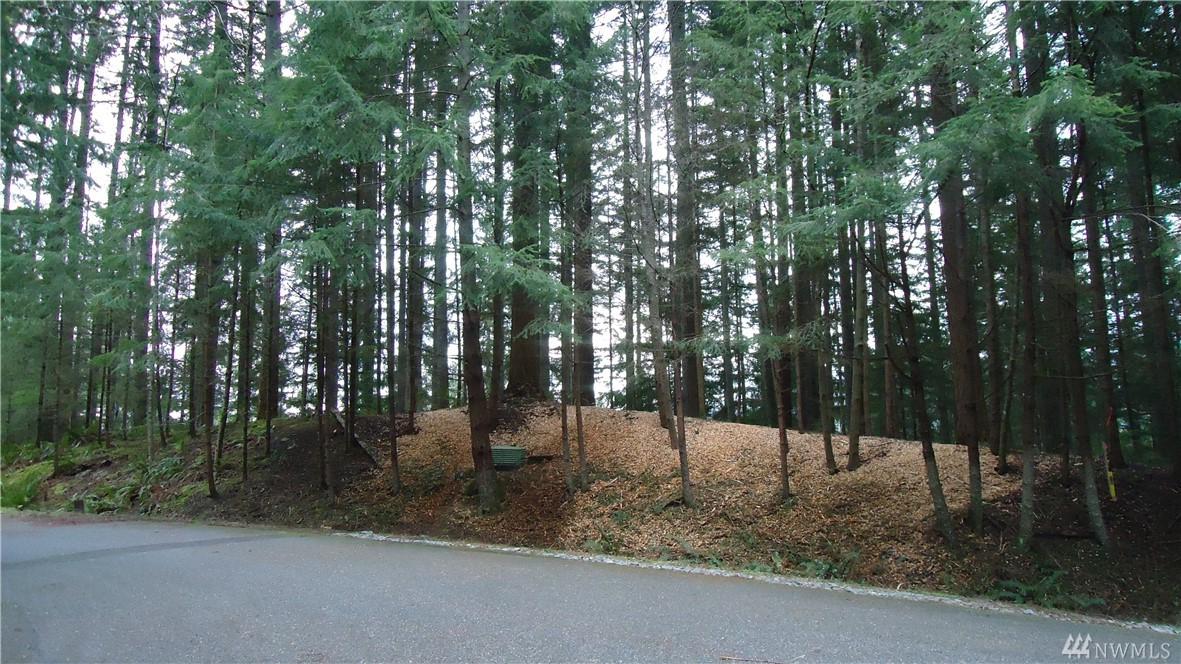 25 Bramble Wy - Photo 1