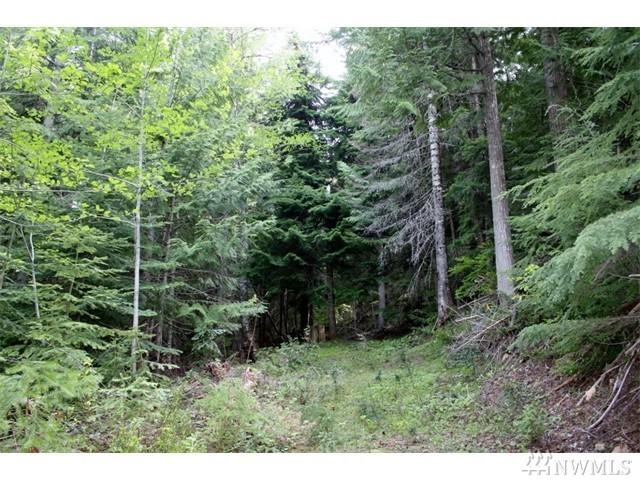 270 Mountain Home Lane - Photo 1