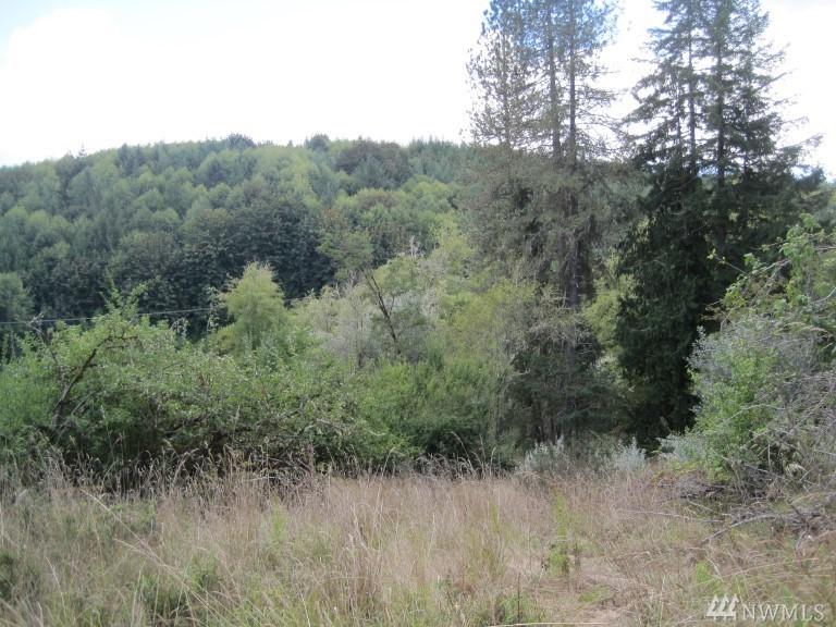 0-Lot 6 Harkum Rd - Photo 1