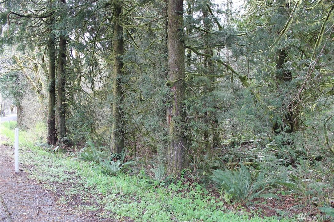 0-8 Acres Cloquallum Rd - Photo 1