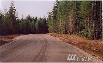 0-x E Benson Ridge Rd - Photo 1
