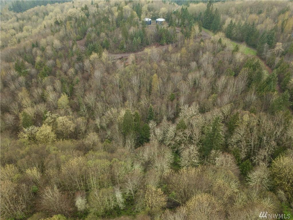 1234 Tybren Heights Rd - Photo 1