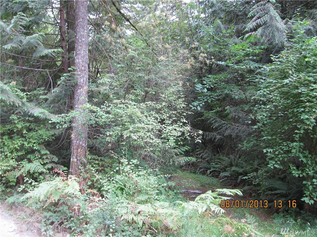 0 Spruce Rd - Photo 1