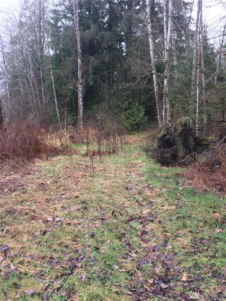 0-320XX Mountain Loop Hwy - Photo 1
