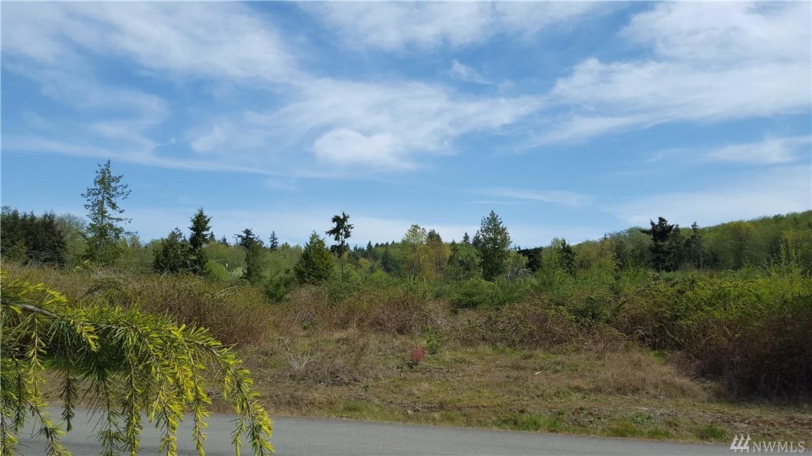 10-Acres Twin Spits Rd - Photo 1