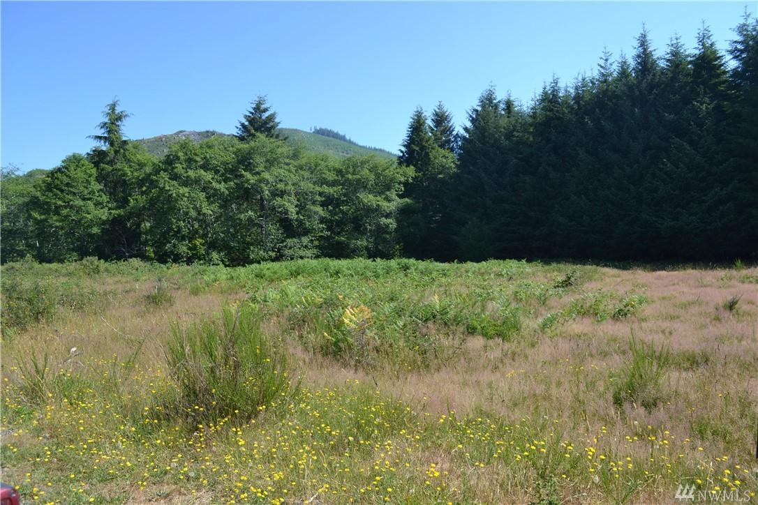 9999 Lot 1 Palmer Rd - Photo 1
