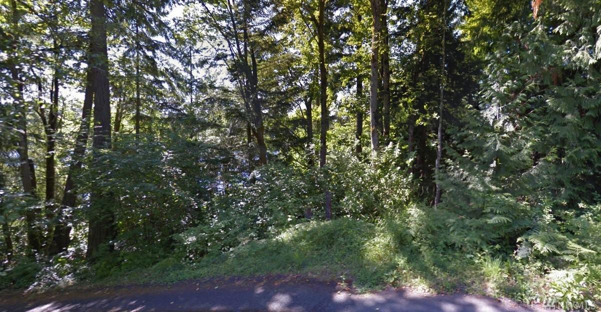 0 Lake Desire Dr - Photo 1