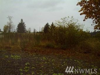 22314 Aislinn Oir Lane - Photo 1