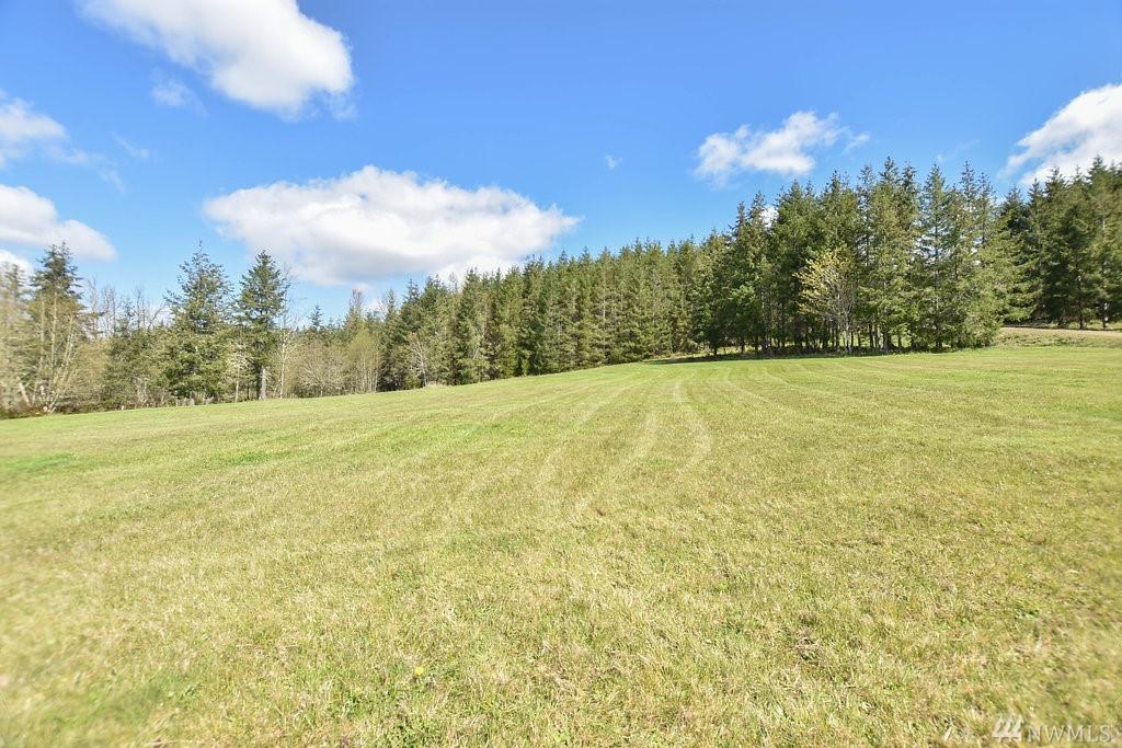 625 Shadow Mountain - Photo 1