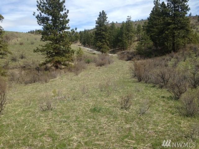 0 Cooper Gulch Rd - Photo 1