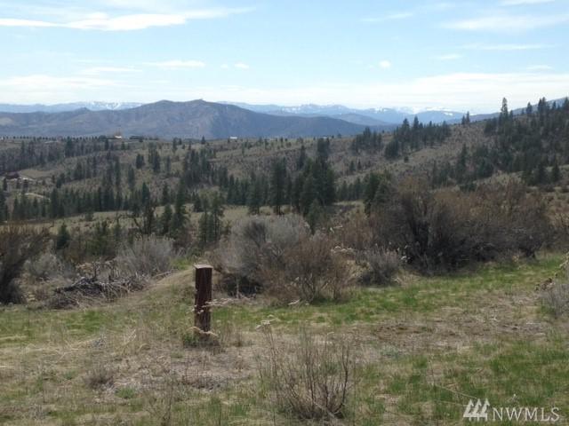 0 Coyote Trail Rd - Photo 1