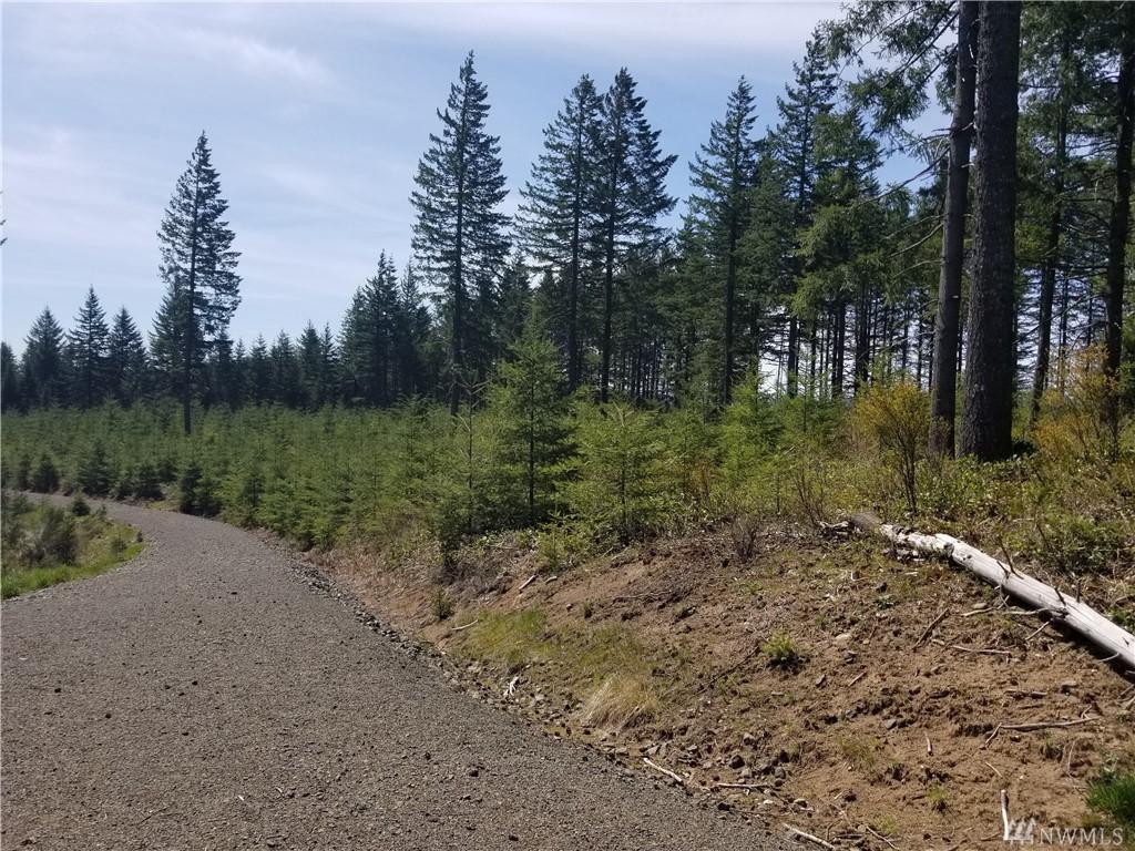 1 Schmitz Rd - Photo 1