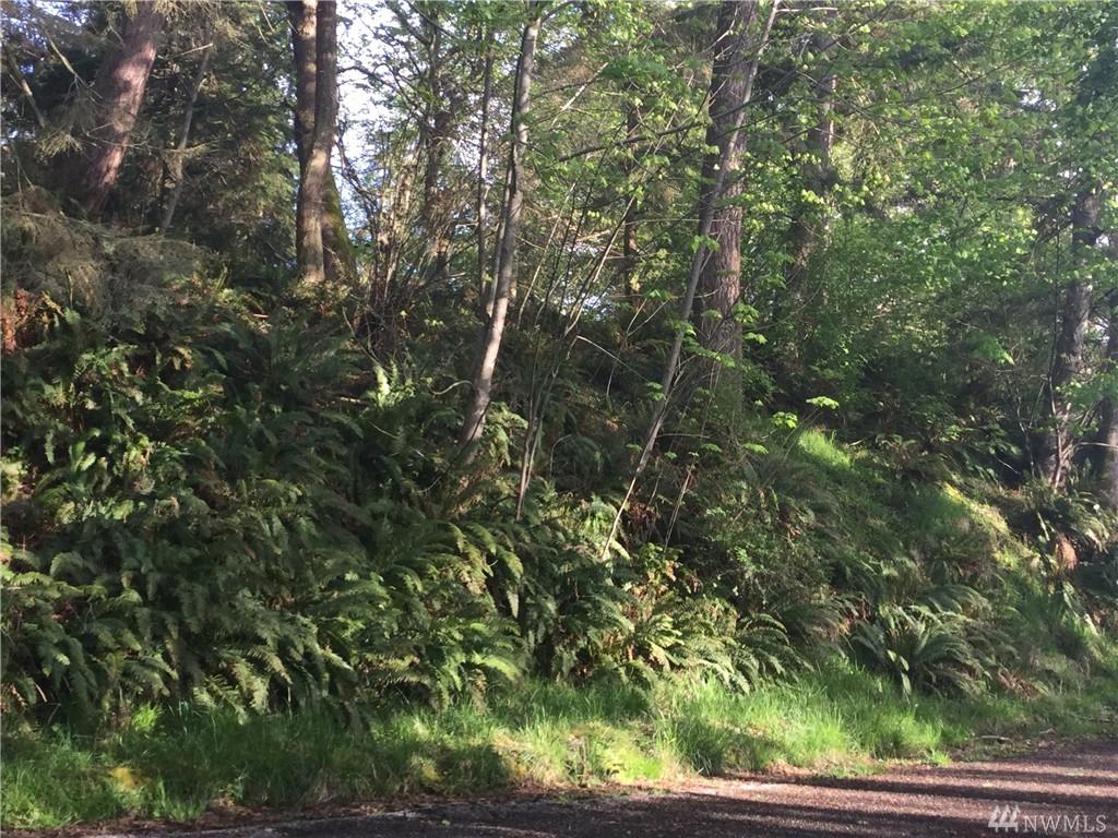 81-xx Sand Dollar Lane - Photo 1