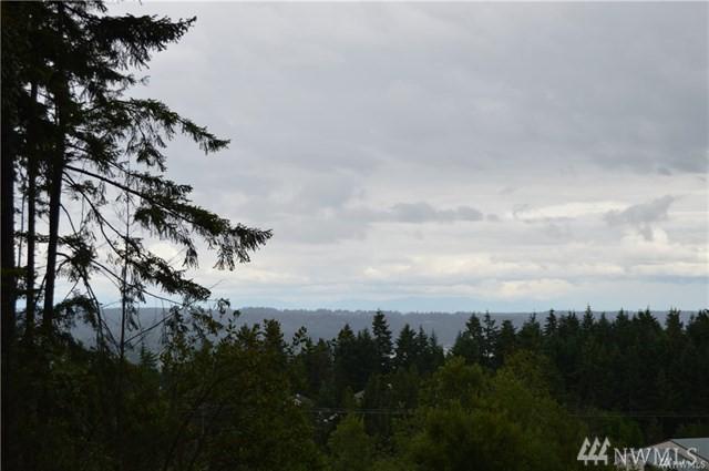 0 Lot 066 Dickey Rd - Photo 1