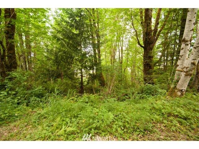 130 Evergreen Road - Photo 1