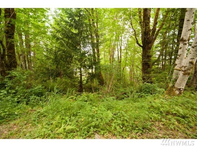 130 Evergreen Rd - Photo 1